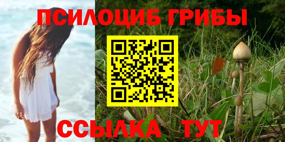 Галлюциногенные грибы Psilocybine cubensis  Вход с VPN  Хасавюрт  Псилоцибиновые грибы MAGIC MUSHROOMS 