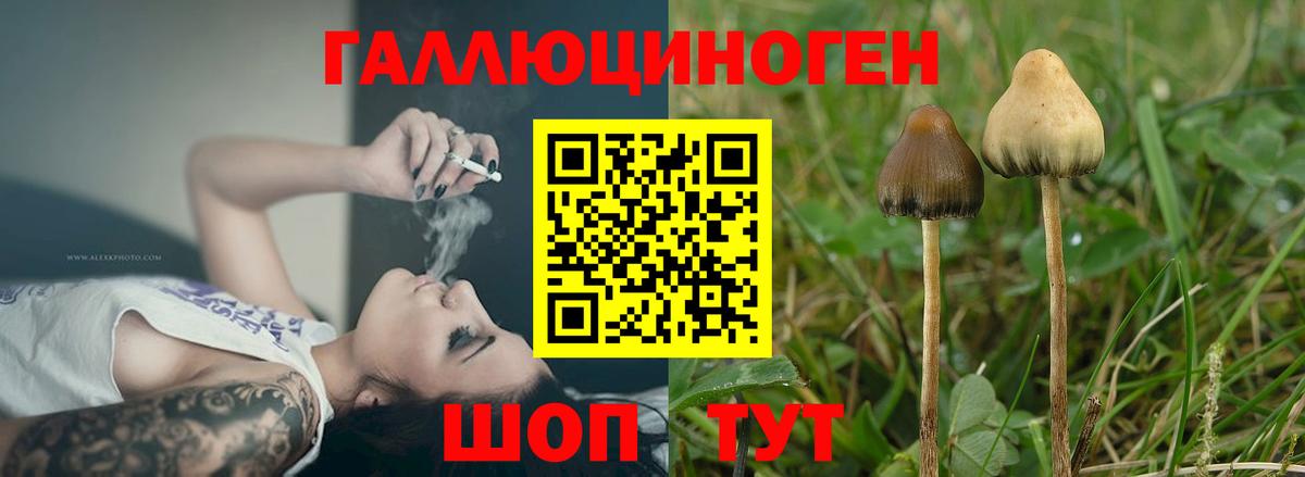 Псилоцибиновые грибы ЛСД Хасавюрт