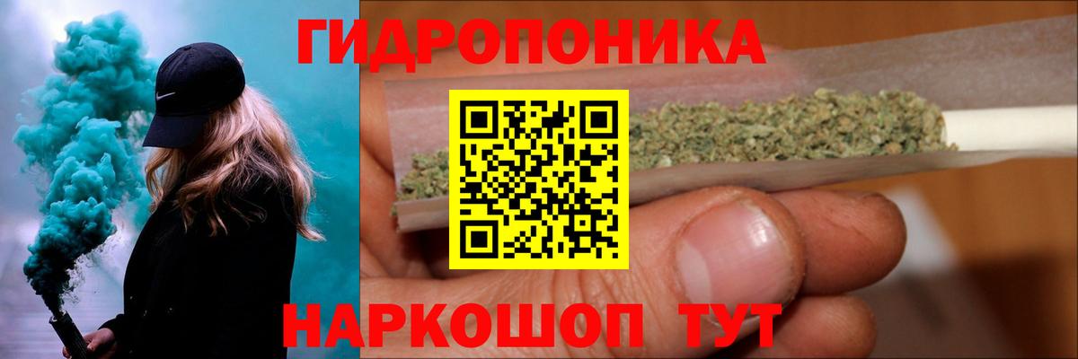 Шишки марихуана конопля Хасавюрт